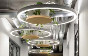 最新网络游戏公司设计装修图片