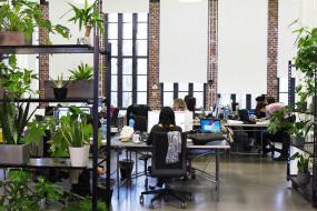 金山办公室装潢设计效果图片