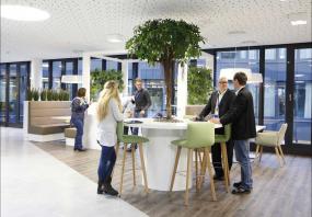 禅意办公室装潢设计效果图片