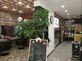 美发店装修效果图