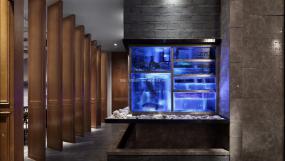 主题餐厅设计装饰效果图片