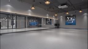 高档舞蹈房装修图片