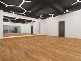 舞蹈房装饰图片