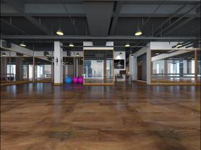 舞蹈房装修装潢效果图
