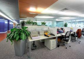 最新商务型办公室装修设计效果图