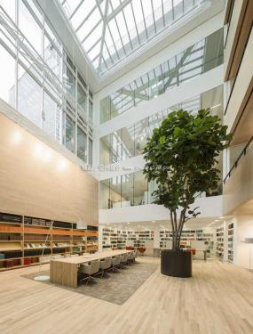 高档新古典办公室装修图片