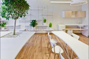 最新文雅风格办公室设计装饰效果图