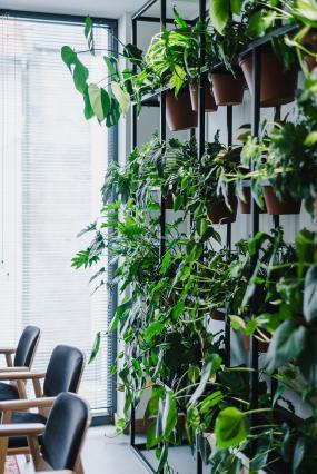 舒适经济办公室装潢效果图