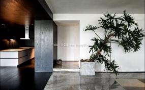 舒适经济办公室设计装饰效果图