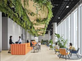 高档大气办公室装饰图片