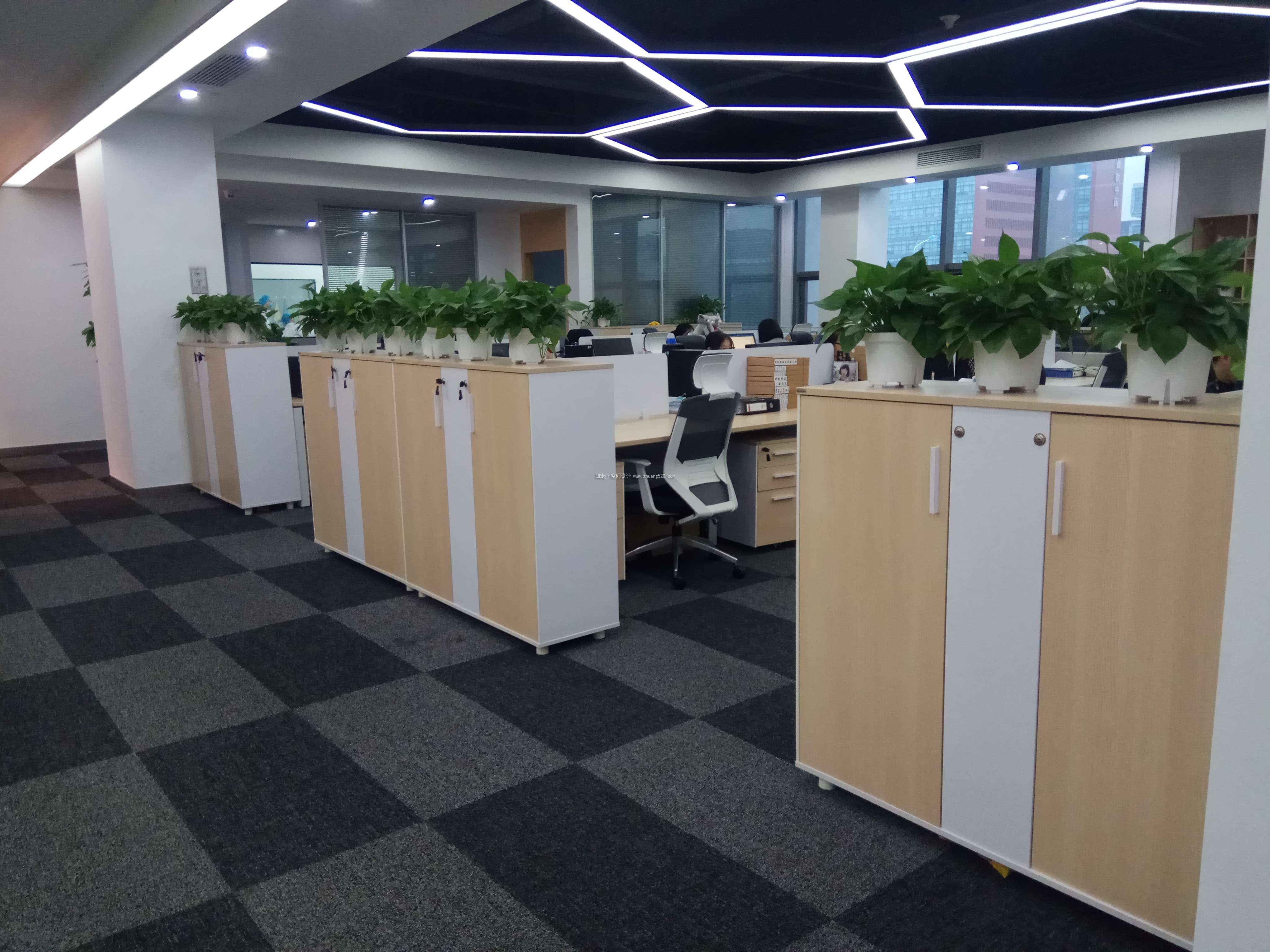 办公室植物摆放风水