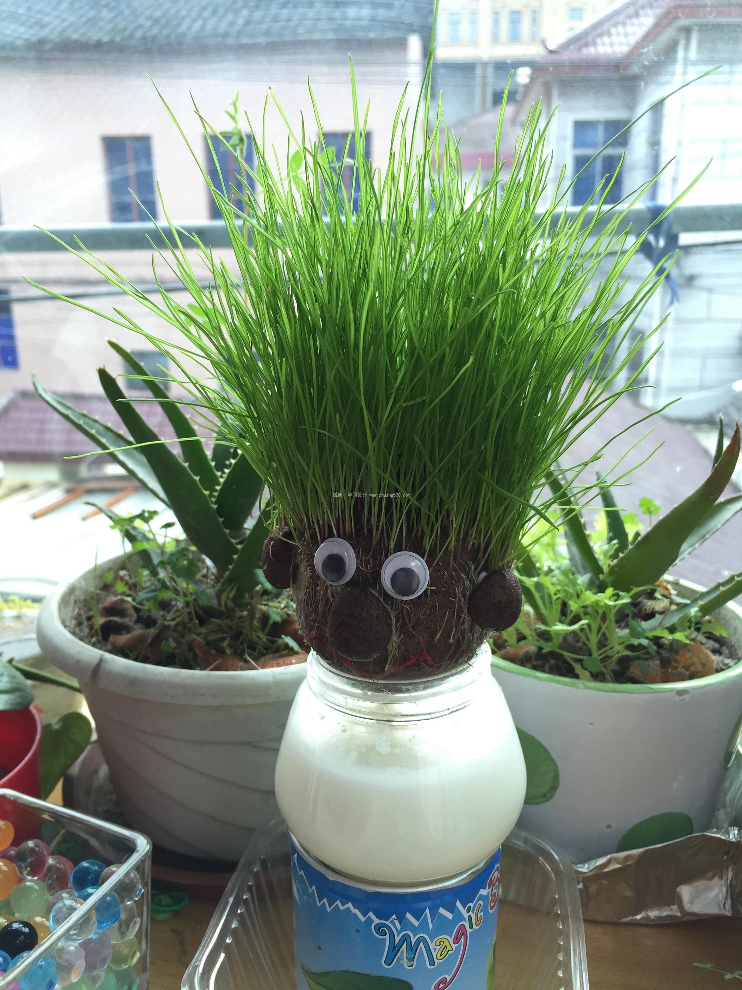 办公室甲醛的去除办法