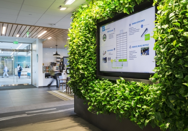 办公室植物墙