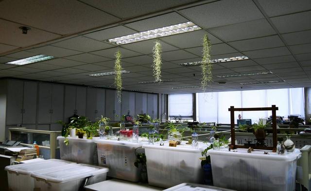 办公室装修效果图