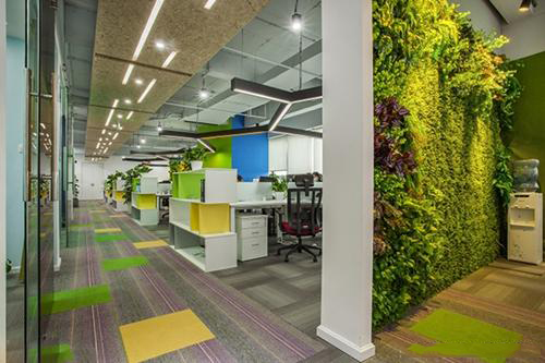 创意办公室装修效果图
