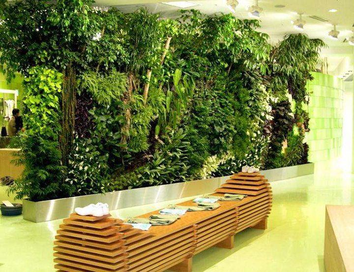 办公室绿植摆放