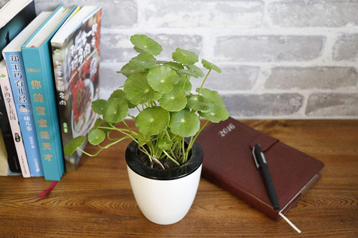 办公室装修效果图