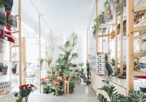 花店装修设计装修图片,花店装修设计装修布局图