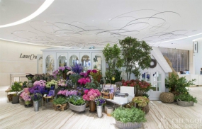 花店设计布局图,花店设计效果图