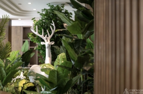 酒店装修图片,酒店装修效果图