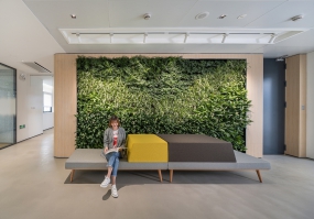 办公室绿植墙图片大全