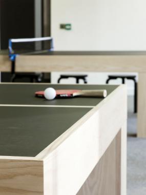 办公室休闲区实木乒乓球桌图片