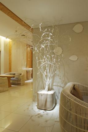 美容院双人间效果图片欣赏