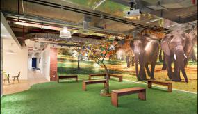 办公室植物装饰品装修效果图片