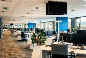 办公会议室办公椅子装修效果图片