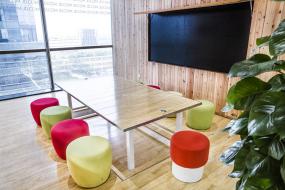 会议室现场盆栽植物布置图片