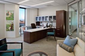 老总办公室室内门装修效果图片