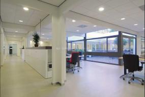 贸易公司办公室装修图片大全