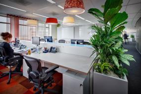 稳重厚重办公室装修高清图片大全