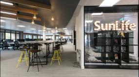 贸易公司吊顶装修实景图图片