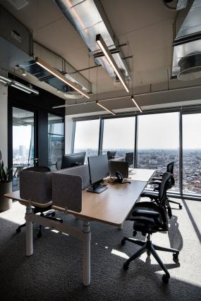 专业投资公司吊顶装修设计图片