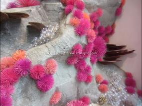 服装店橱窗精装修设计图片