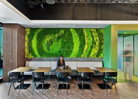 办公室榆木地板装修图片大全