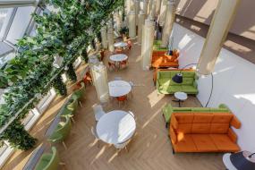 办公室绿植装修实物图片