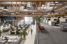 办公室绿植装潢图片