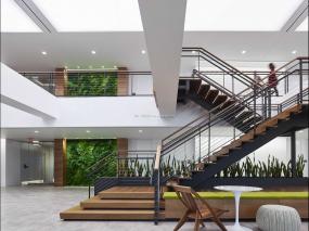 办公室绿植设计装修图片