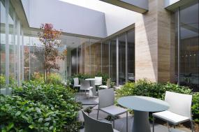 办公室绿植设计装修效果图片