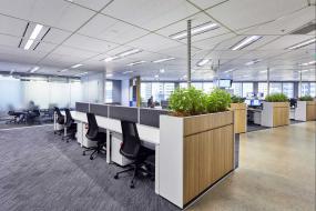 办公室绿植摆放装修高清图片