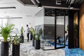 办公室绿植摆放装饰效果图片