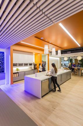 办公室风水植物装修效果图片