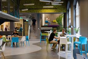 最新办公室风水植物装修设计效果图