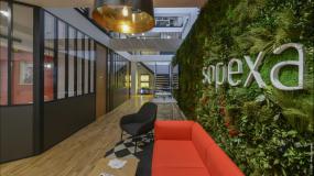 办公室风水植物设计装饰效果图片