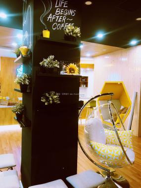 咖啡馆装潢图片