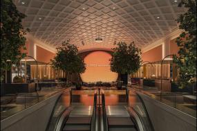 最新三星级酒店装饰实景图