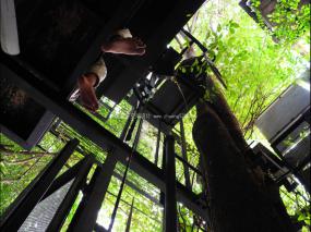 柔和风格办公室装修实物图片