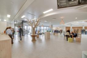 上海专业大办公室吊顶装修